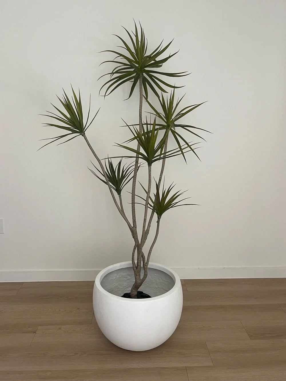 Artificial Dracaena Marginata Tree Plant
